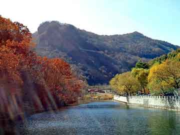 新澳天天开奖资料大全旅游团，下堂妻的春天